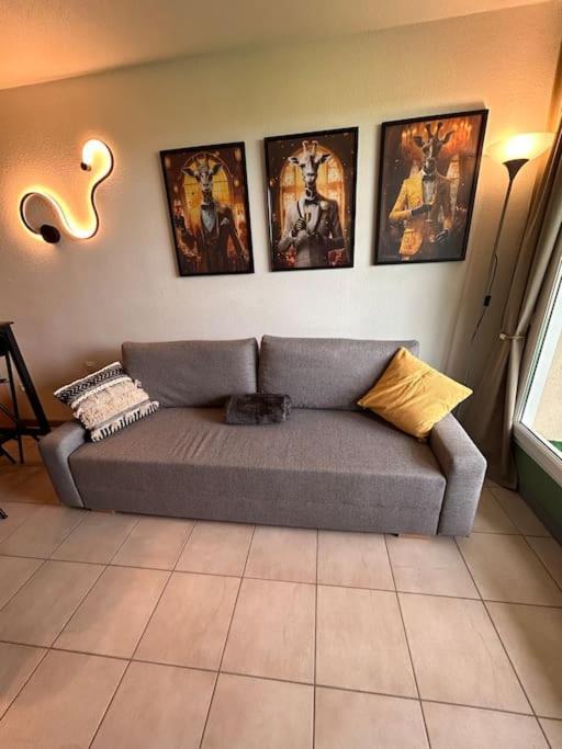 Le Nid De Sitelle, Appartement, Piscine Et Sauna *