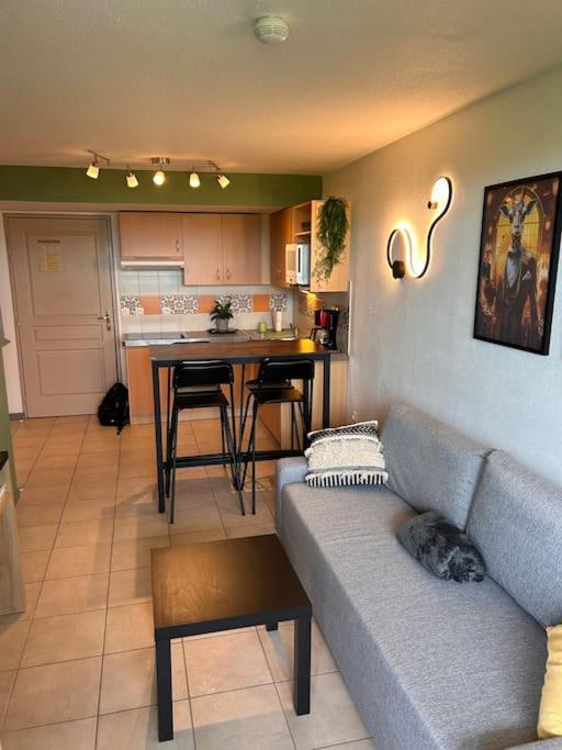 Le Nid De Sitelle, Appartement, Piscine Et Sauna Apartment *
